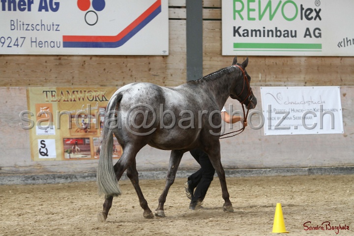 24-ApHC HIH_038.jpg